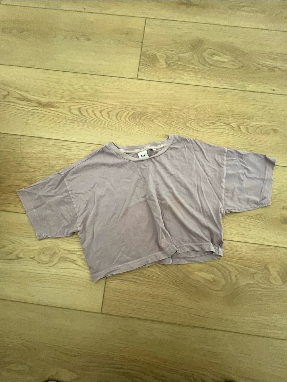 Aritzia Washedout Lavender Crop Tee TNA